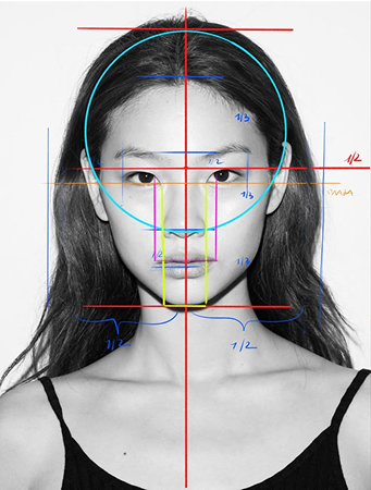 Face mapping diagram